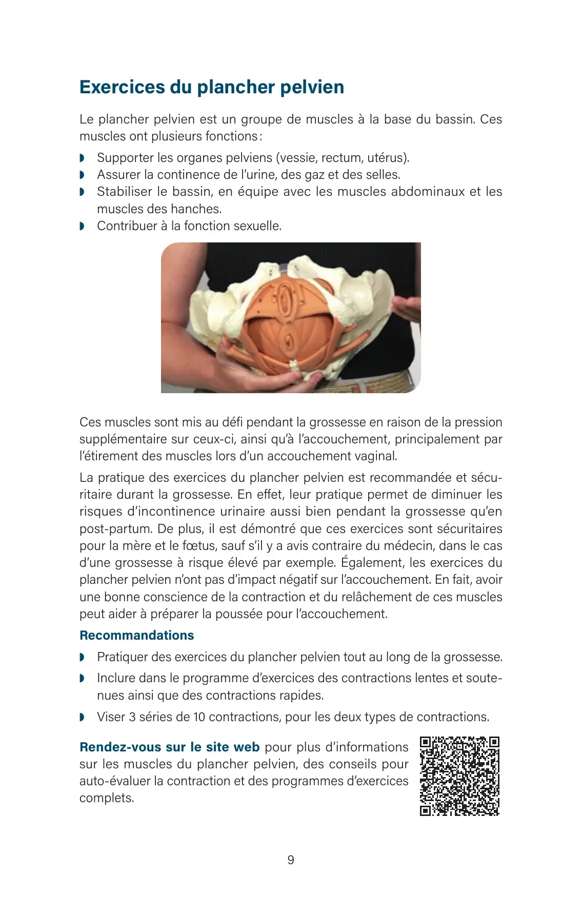 « Exercices du plancher pelvien » : modèle anatomique du bassin tenu à deux mains, 3 séries de 10 contractions