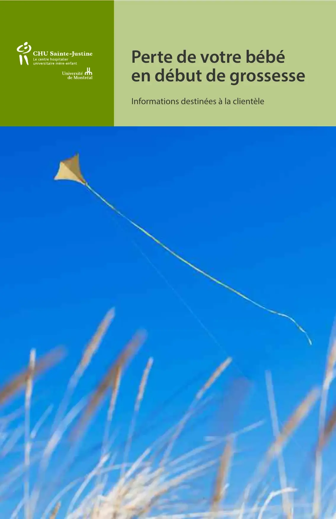 « Perte de votre bébé en début de grossesse », cerf-volant filant dans un ciel bleu au-dessus d'herbes hautes