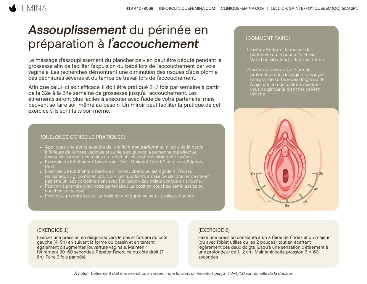 « Assouplissement du périnée » : schéma anatomique avec repères horaires et deux exercices d'étirement