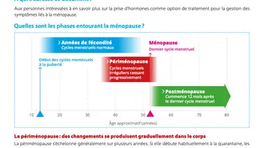 graphique sur les phases de la ménopause
